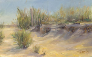 eroding-dunes